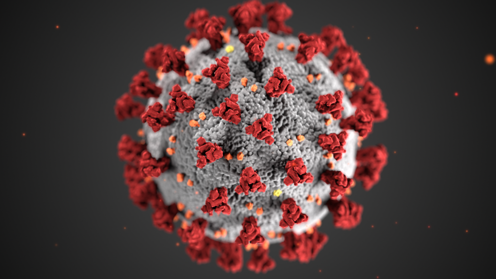 A close-up view of the novel corona virus.