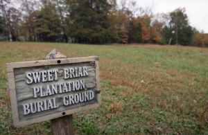 A field next to a wood area with grass and weeds that has a wooden sign which reads, Sweet Briar Plantation Burial Ground.