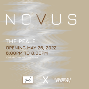 A metallic-looking background with the word NOVUS in a white font. The V is in a metallic brown color.